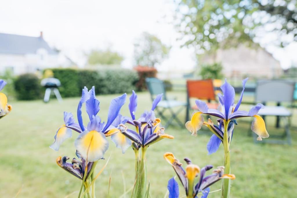 Вилла Le Beaumont • La Belle Campagne • La Plenitude Deols Экстерьер фото
